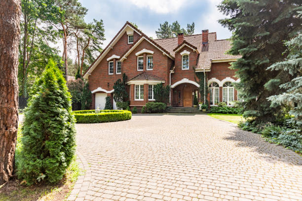 Best Local Driveway Pavers  in Chula Vista, TX