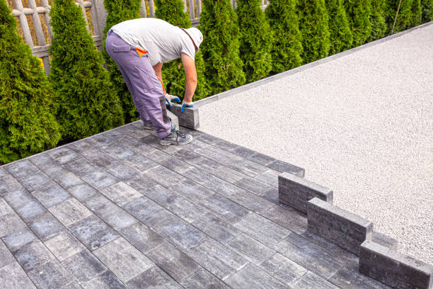 Best Decorative Driveway Pavers  in Chula Vista, TX